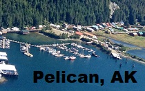 City Logo for Pelican