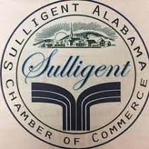 City Logo for Sulligent