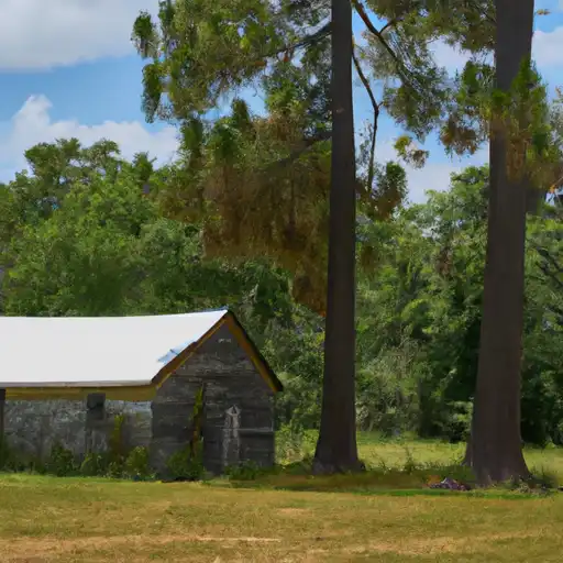 Rural homes in Levy, Florida