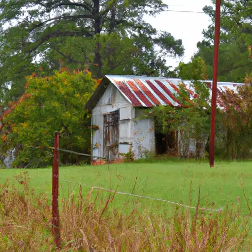 Rural homes in Laurens, Georgia