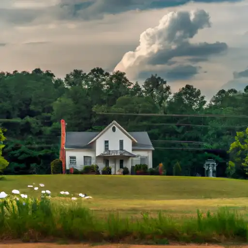 Rural homes in Miller, Georgia