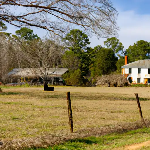 Rural homes in Thomas, Georgia