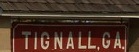 City Logo for Tignall