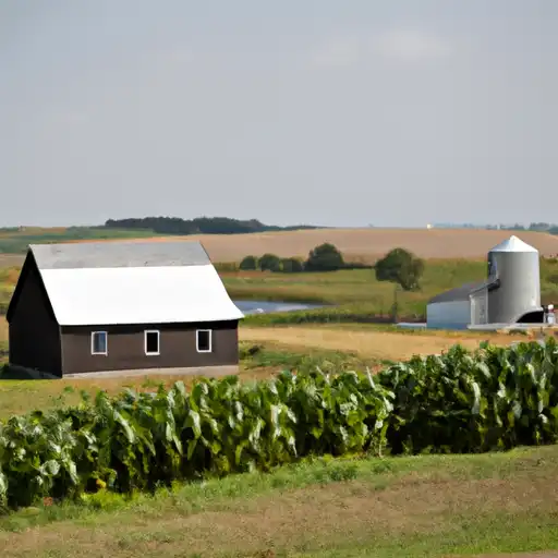 Rural homes in Audubon, Iowa