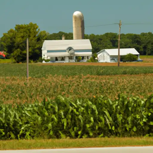 Rural homes in Henderson, Illinois