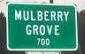 City Logo for Mulberry_Grove