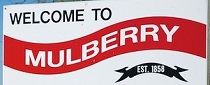 City Logo for Mulberry