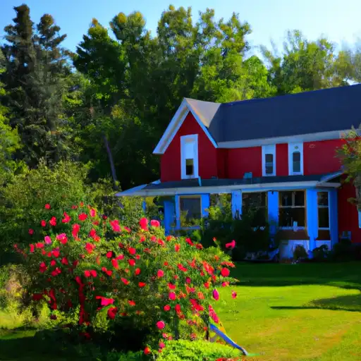 Rural homes in Wexford, Michigan