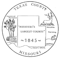 Texas County Seal