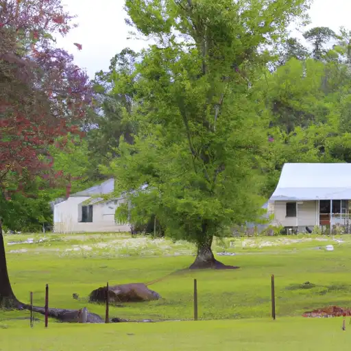 Rural homes in Clay, Mississippi