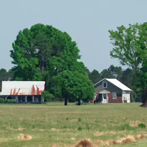 Rural homes in Union, Mississippi