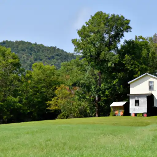 Rural homes in Franklin, North Carolina