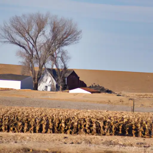 Rural homes in Merrick, Nebraska