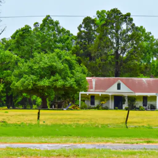Rural homes in Orangeburg, South Carolina