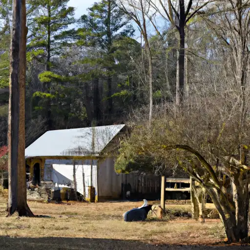 Rural homes in Saluda, South Carolina