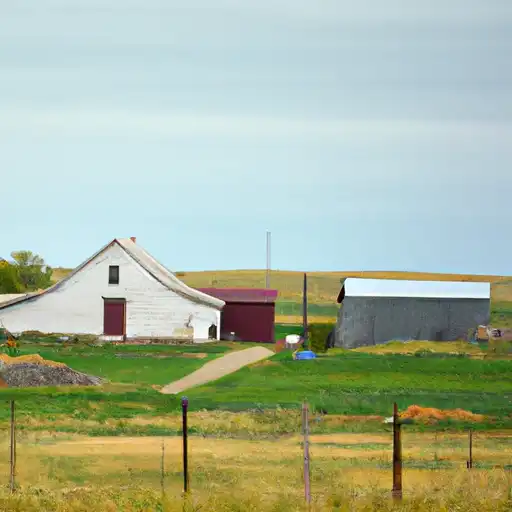 Rural homes in Buffalo, South Dakota