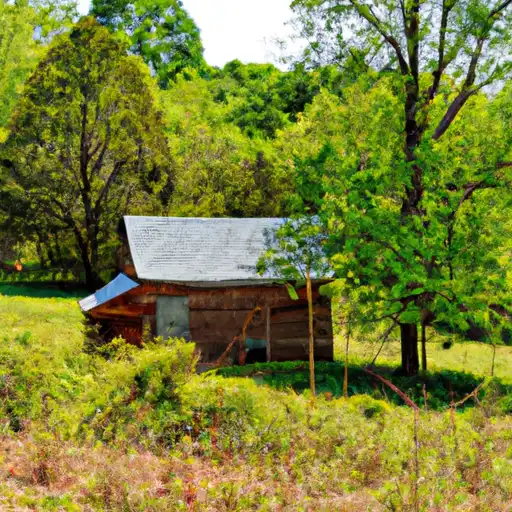 Rural homes in Dyer, Tennessee