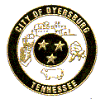 City Logo for Dyersburg