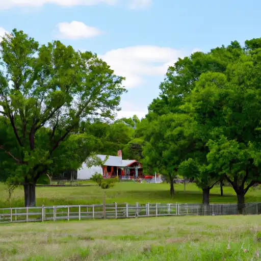 Rural homes in Henderson, Texas