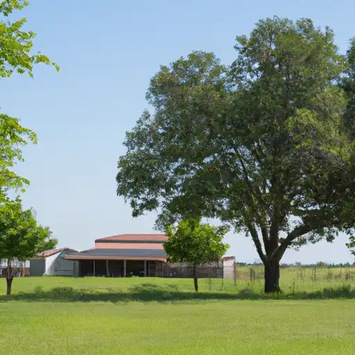 Rural homes in Red River, Texas