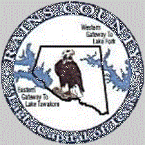 Rains County Seal