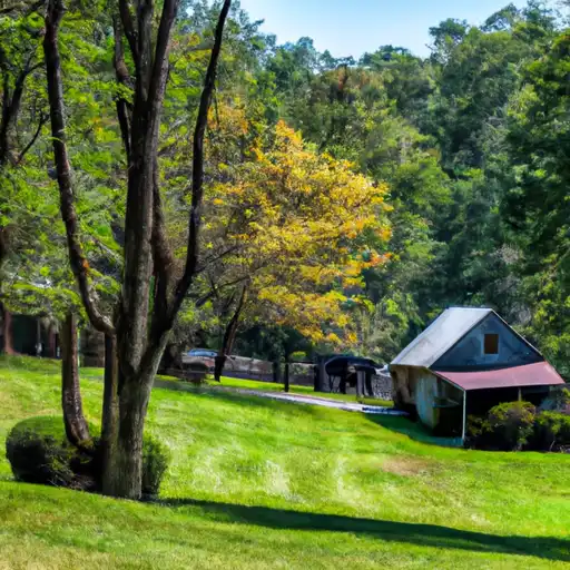 Rural homes in Grant, West Virginia