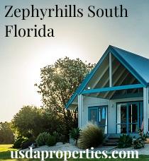 Default City Image for Zephyrhills_South