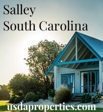 Default City Image for Salley
