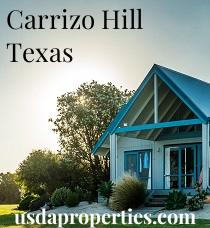 Default City Image for Carrizo_Hill