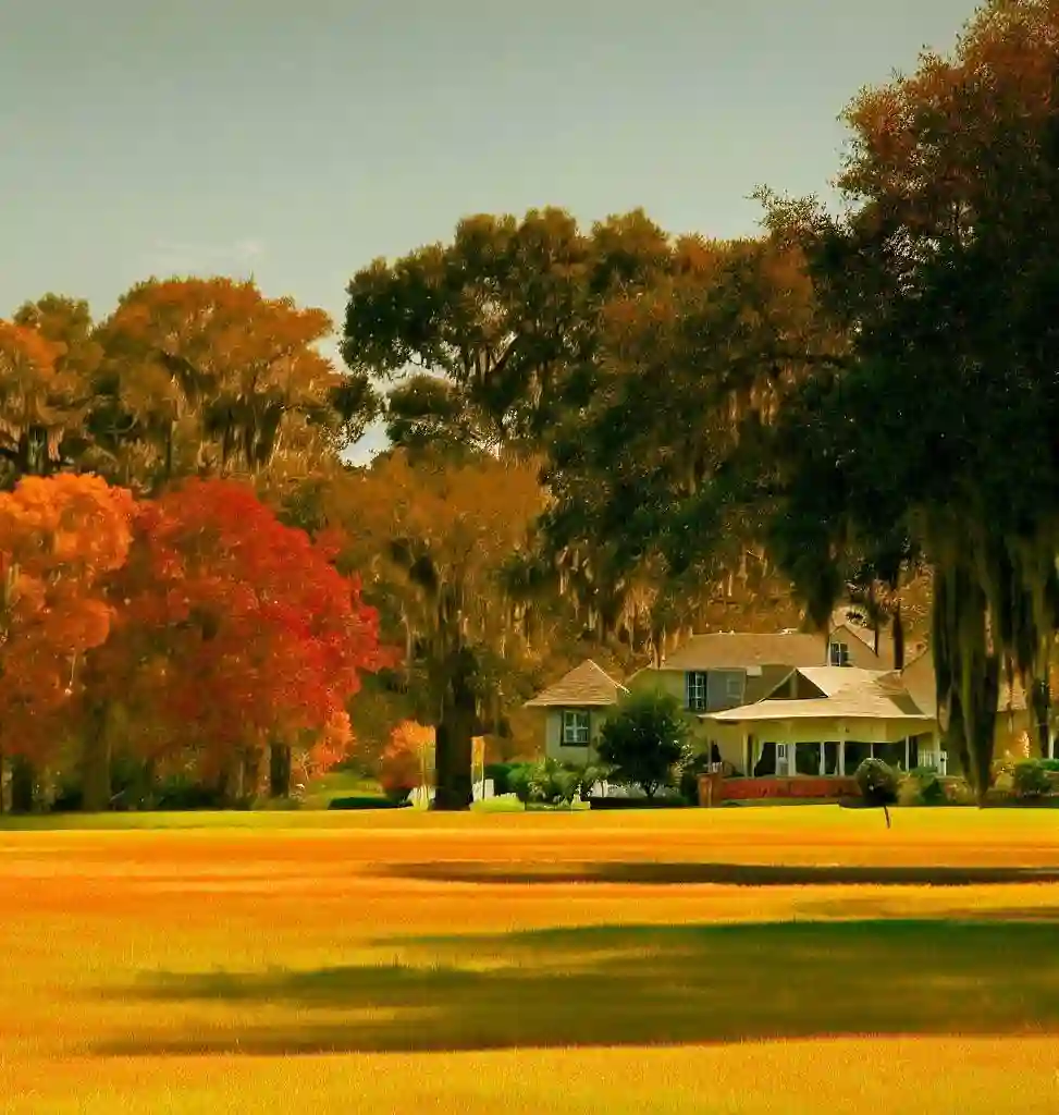 Rural Homes in Florida during autumn