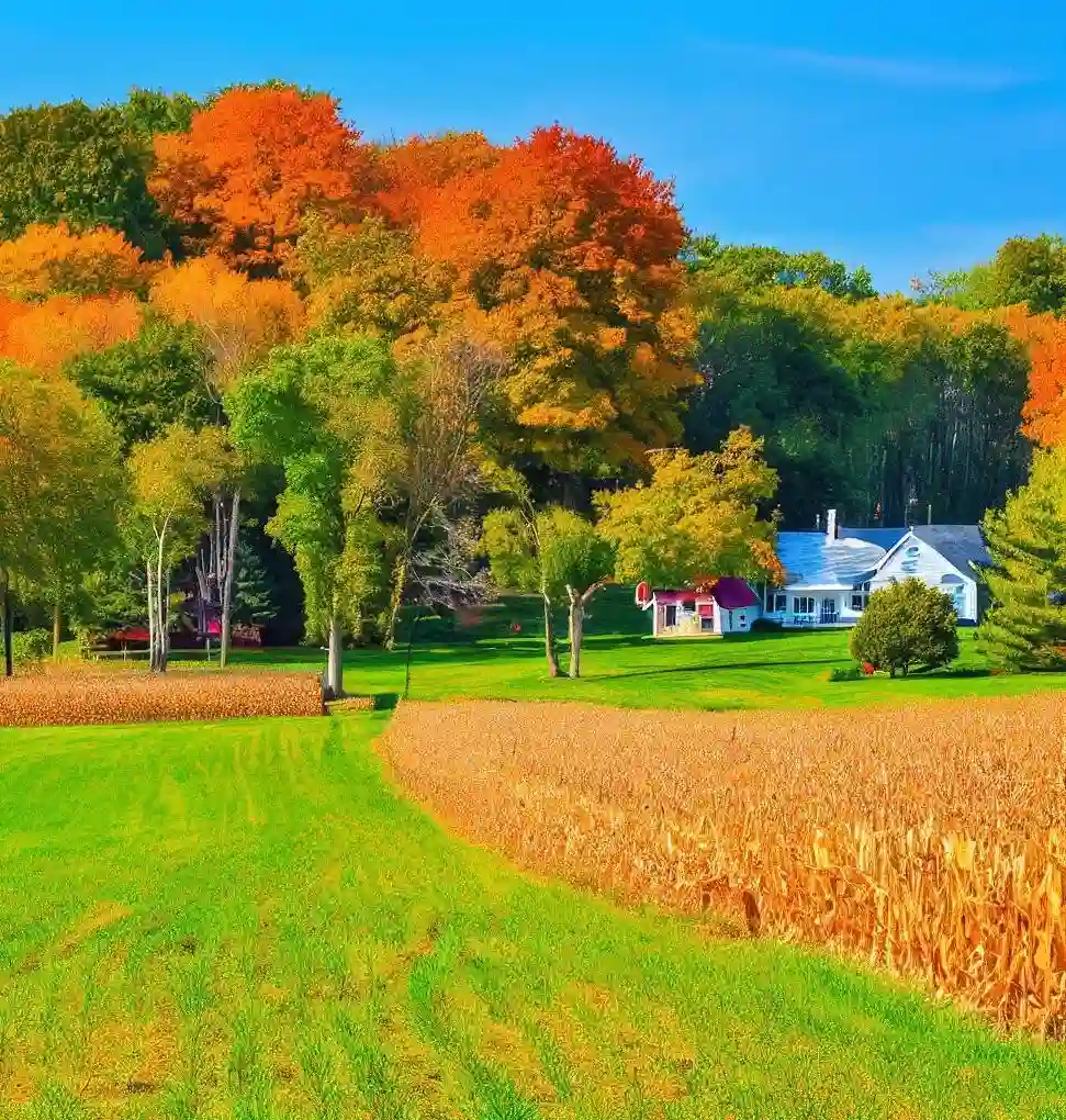 Rural Homes in Indiana during autumn