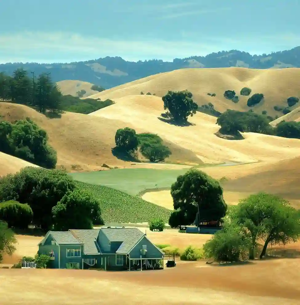 Rural Homes in California during summer