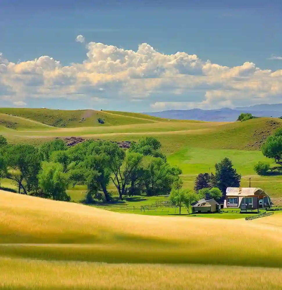 Rural Homes in Colorado during summer