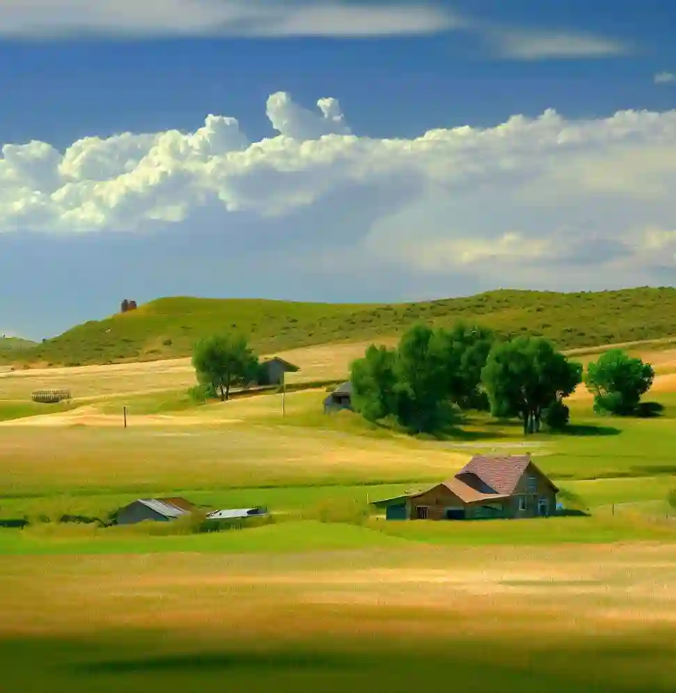 Rural Homes in Colorado during summer
