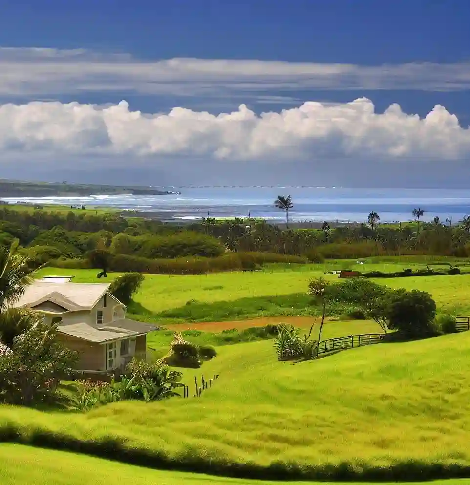 Rural Homes in Hawaii during summer