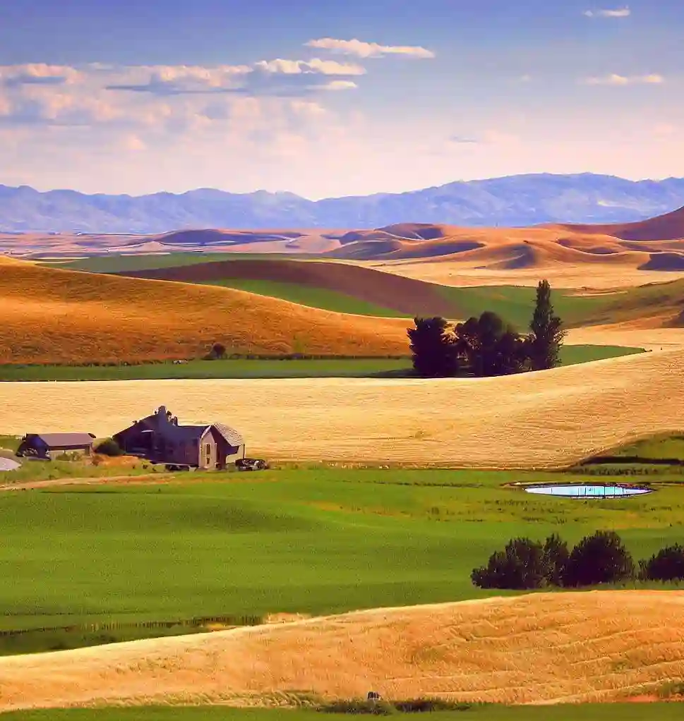 Rural Homes in Idaho during summer