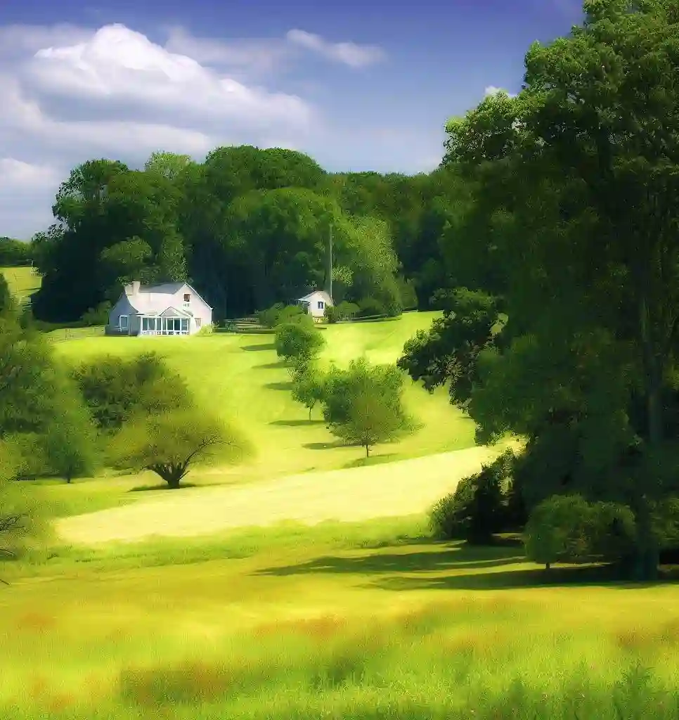 Rural Homes in Maryland during summer
