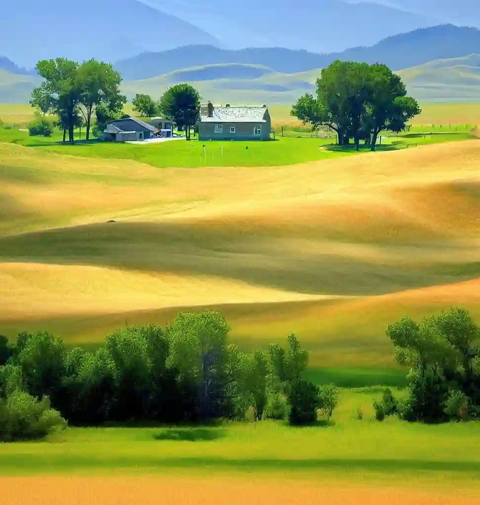 Rural Homes in Montana during summer