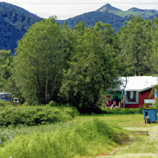 Rural homes in Prince of Wales'Hyder, Alaska