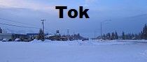City Logo for Tok