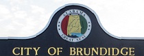 City Logo for Brundidge