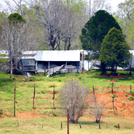 Rural homes in Bullock, Alabama