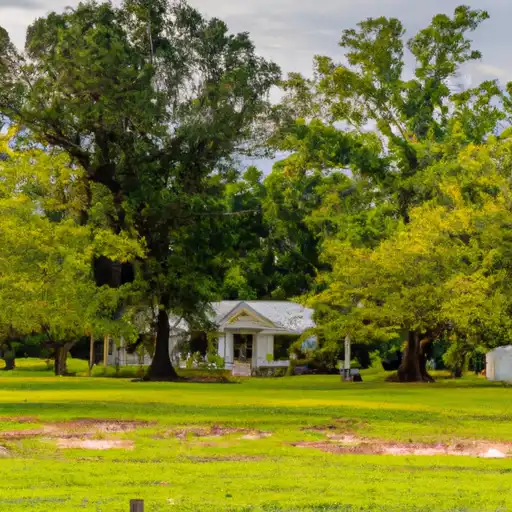 Rural homes in Conecuh, Alabama