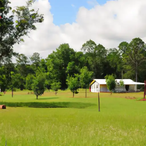 Rural homes in Covington, Alabama