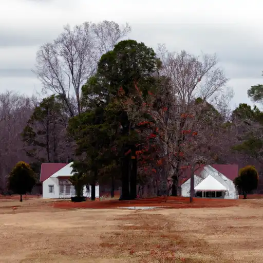 Rural homes in Franklin, Alabama