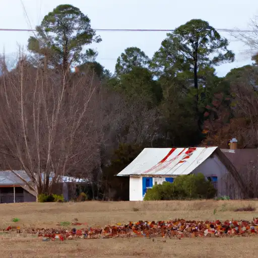 Rural homes in Henry, Alabama