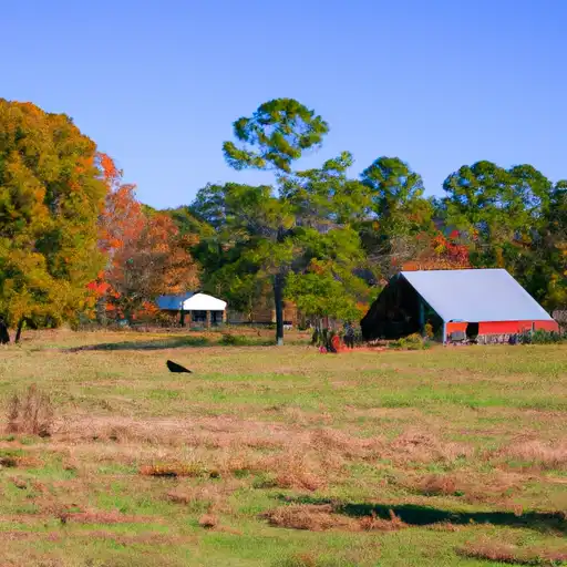Rural homes in Houston, Alabama