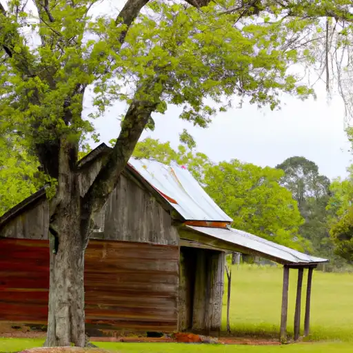 Rural homes in Lamar, Alabama