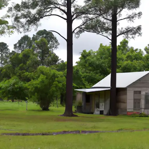 Rural homes in Lowndes, Alabama