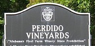 City Logo for Perdido